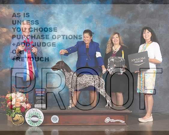 German Shorthaired Pointer #30 Thur RBIS Judge Dr Steve Keating-MMJ_1117-HOUSTON21-HR3
