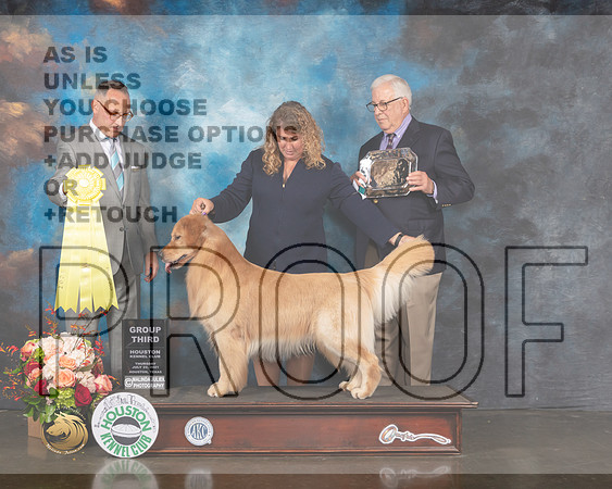 Golden Retriever #57 Thur G3 Judge David Haddock-MMJ_1100-HOUSTON21-HR3