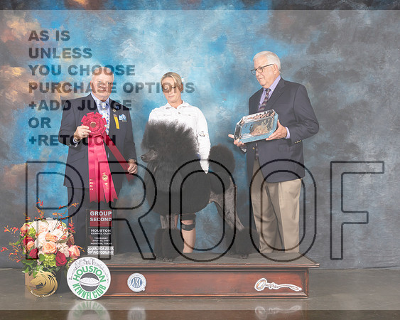 Poodle Std #34 Thurs G2 Judge Dennis McCoy-MMJ_1050-HOUSTON21-HR3