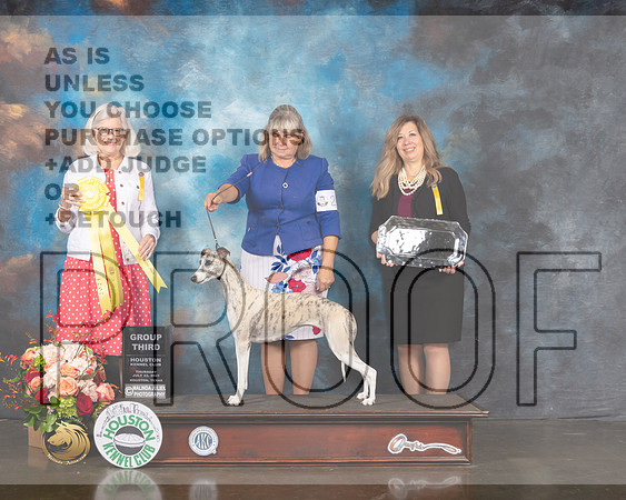 Whippet #26 Thur G3 Judge Molly Martin-MMJ_1084-HOUSTON21-HR3