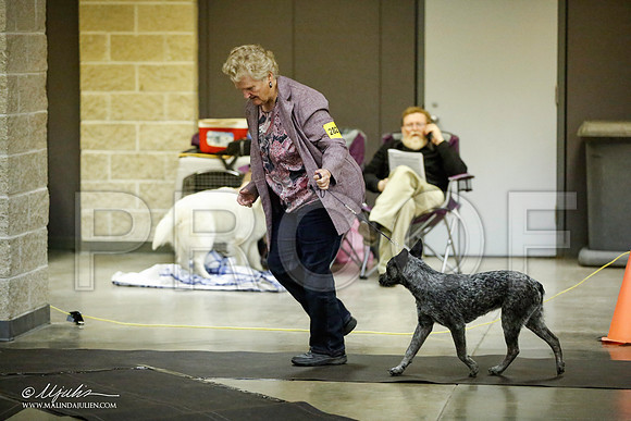 _JJ_6080-BeltonJan2015IABCA-HR3