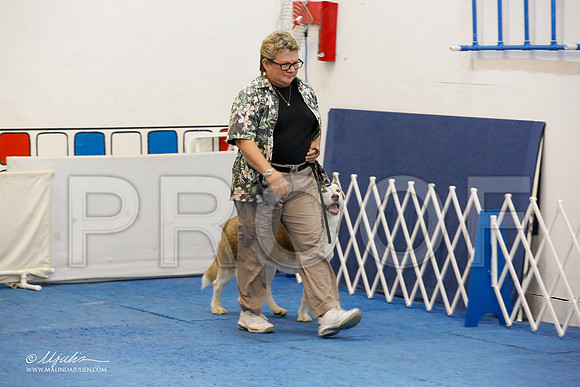 _M3_7852-AddisonHuskyMar2015-HR3
