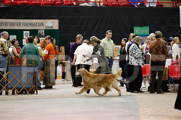 Vet10-12-0683-WFOct2013-HR