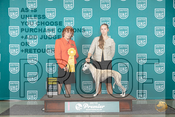 Whippet #578 Sat G4 Judge Sharon Griffin__JP_2279_Premier_2024_HR3