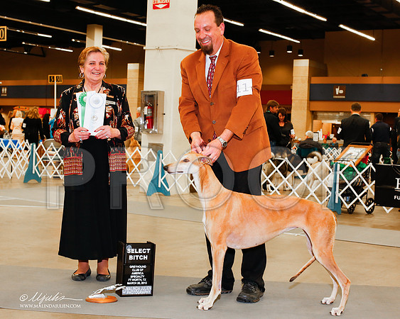 _M3_2069-AddisonHuskyMar2015-HR3