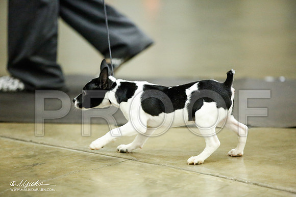 _JJ_5954-BeltonJan2015IABCA-HR3