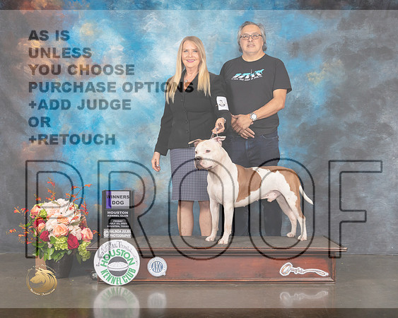 American Staffordshire Terrier #5 Fri WD Judge Randy Garren-MMJ_0064-HOUSTON21-HR3