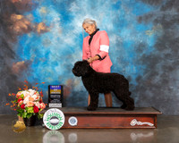 Barbet #6 Fri BOB Judge Evalyn Gregory