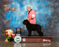 Barbet #6 Thurs BOB Judge Evalyn Gregory