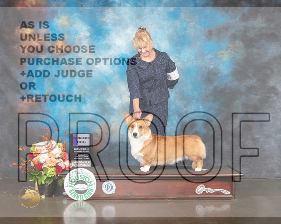 Cardigan Welsh Corgi #11 Fri WD Judge LInda Scanlon-MMJ_0088-HOUSTON21-HR3