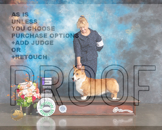 Cardigan Welsh Corgi #11 Fri WD Judge LInda Scanlon-MMJ_0091-HOUSTON21-HR3