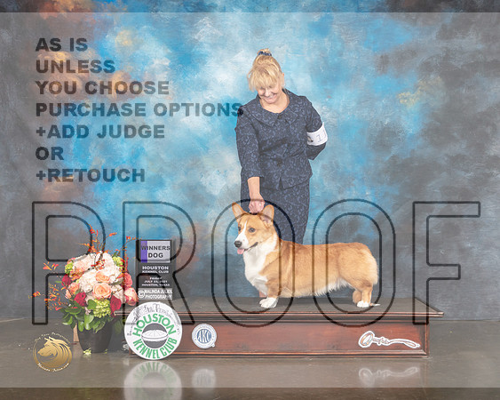 Cardigan Welsh Corgi #11 Fri WD Judge LInda Scanlon-MMJ_0095-HOUSTON21-HR3