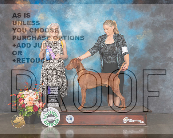 Vizsla #5 Fri WD Major Judge Molly Martin-MMJ_0033-HOUSTON21-HR3