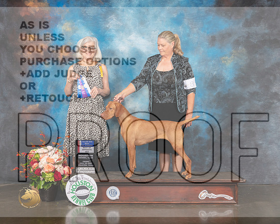 Vizsla #8 Fri WB BOW Major Judge Molly Martin-MMJ_0027-HOUSTON21-HR3