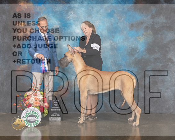 Great Dane #56 Fri BOW Judge David Haddock-MMJ_0165-HOUSTON21-HR3