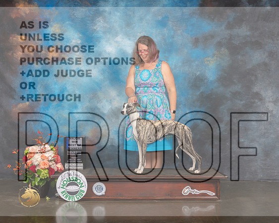 Whippet #20 Fri WB BOW Major Judge Rosalind Kramer-MMJ_0132-HOUSTON21-HR3