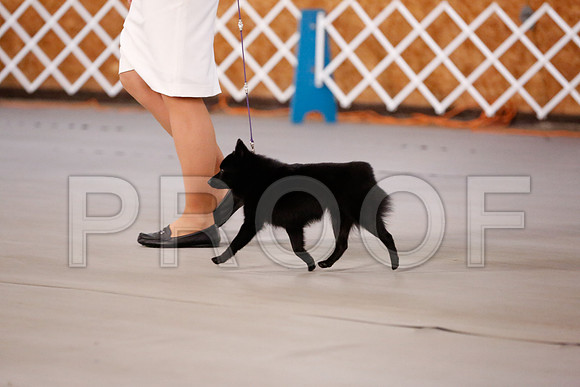 _RH_8477-CarlrolltonSept2014-HR3