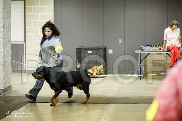 _RH_1910-BeltonJan2015IABCA-HR3