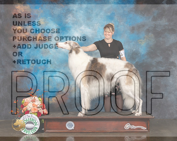 Borzoi #31 Thurs WD Major Judge Linda Scanlon R-MMJ_0214-HOUSTON21-HR3