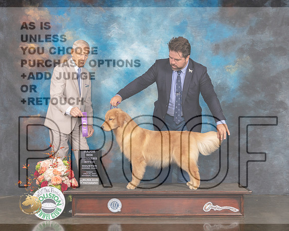 Golden #16 Fri WB Major Judge Joseph Gregroy-MMJ_0196-HOUSTON21-HR3