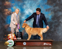 Golden #16 Fri WB Major Judge Joseph Gregroy