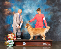 Golden #64 Fri SB Judge Joseph Gregory