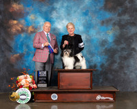 Havanese #16 Fri WB BOW Major Judge Dennis Mccoy
