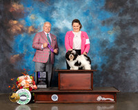 Havanese #21 Fri WD NCH Major Judge Dennis Mccoy
