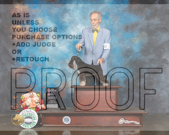Miniature Schnauzer #12 Fri WB BOS Judge Randy Garren-MMJ_0272-HOUSTON21-HR3