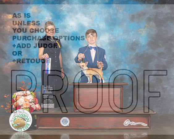 Smooth Coated Chihuahua #21 Fri WB BOW NCH Major Judge Evalyn Gregory-MMJ_0247-HOUSTON21-HR3