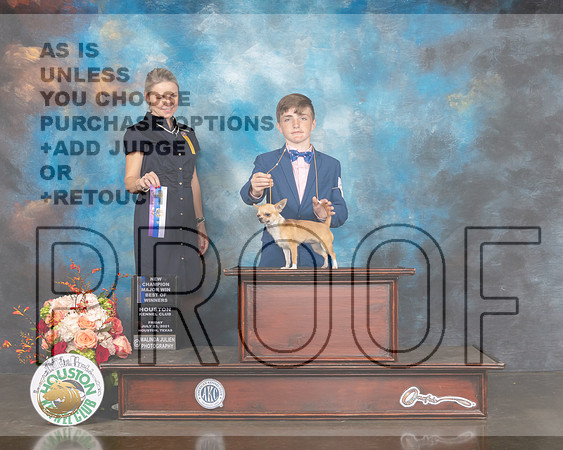 Smooth Coated Chihuahua #21 Fri WB BOW NCH Major Judge Evalyn Gregory-MMJ_0251-HOUSTON21-HR3