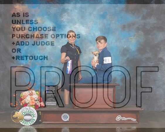 Smooth Coated Chihuahua #21 Fri WB BOW NCH Major Judge Evalyn Gregory-MMJ_0262-HOUSTON21-HR3