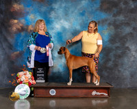Boxer #14 Fri BISSweeps Judge Cynthia Hunt