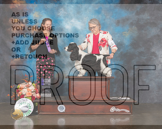 English Cocker Spaniel #11 Fri WD Judge Britt Jung-MMJ_0306-HOUSTON21-HR3