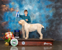 Spinone #12 Fri WB BOW Judge Britt Jung