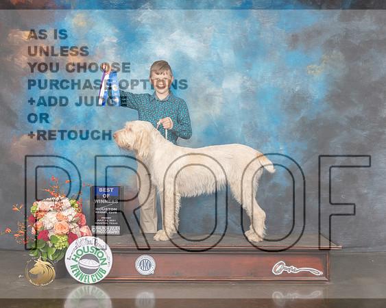 Spinone #12 Fri WB BOW Judge Britt Jung-MMJ_0344-HOUSTON21-HR3