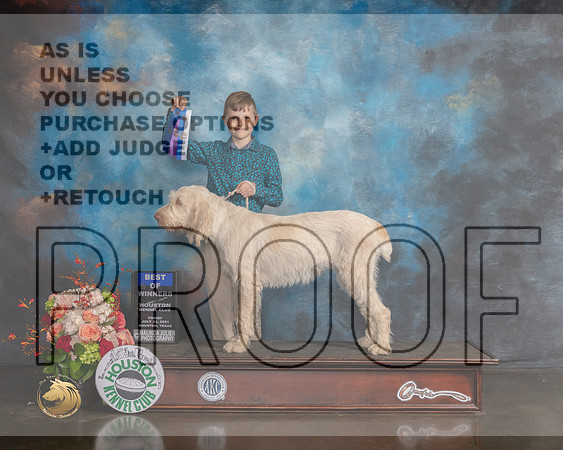 Spinone #12 Fri WB BOW Judge Britt Jung-MMJ_0345-HOUSTON21-HR3