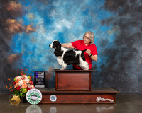 English Cocker Spaniel #11 Fri WD Maj Judge Britt Jung R