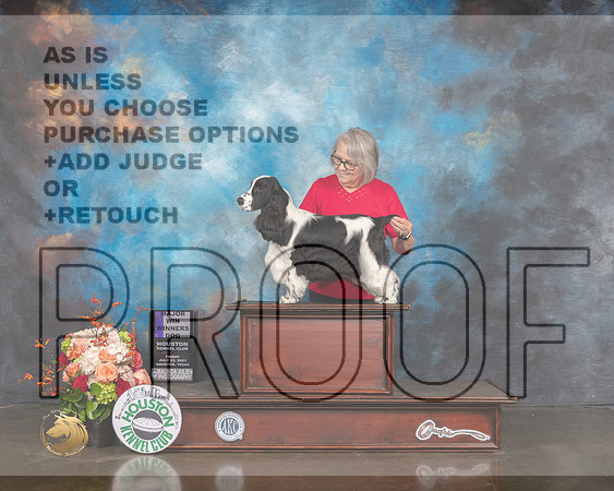 English Cocker Spaniel #11 Fri WD Maj Judge Britt Jung R-MMJ_0355-HOUSTON21-HR3