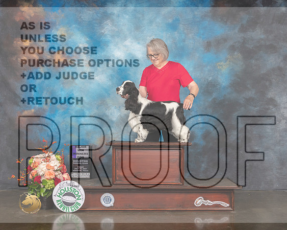 English Cocker Spaniel #11 Fri WD Maj Judge Britt Jung R-MMJ_0360-HOUSTON21-HR3
