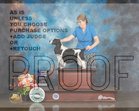 English Cocker Spaniel #11 Fri WD Maj Judge Britt Jung R-MMJ_0366-HOUSTON21-HR3
