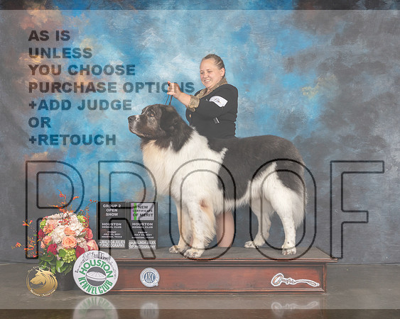 Pyrenean Mastiff #9 Fri Open G2 Judge Linda Scanlon-MMJ_0378-HOUSTON21-HR3