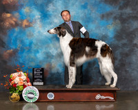 Borzoi #15 Fri WD Major Judge Joseph Gregory