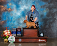 Norfolk Terrier #24 Fri SB Judge Dennis Mccoy