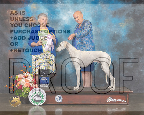 Saluki #21 Fri BOSSweeps Judge Jan Flaningan-MMJ_0519-HOUSTON21-HR3