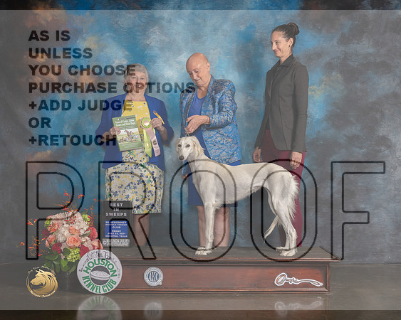 Saluki #24 Fri BISweeps Judge Jan Flaningan-MMJ_0509-HOUSTON21-HR3