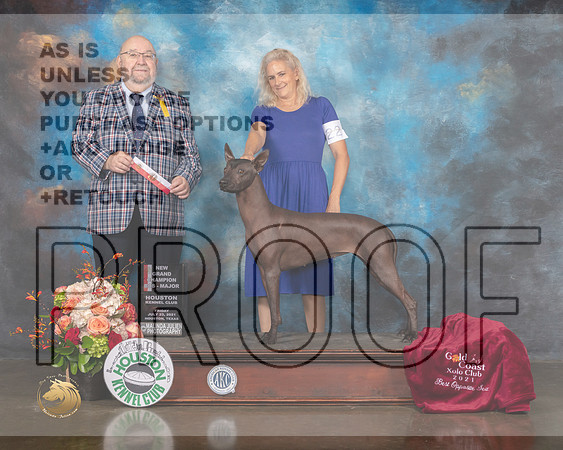 Xoloitzcuintli #22 Fri BOS Judge Raymond Filburn-MMJ_0593-HOUSTON21-HR3