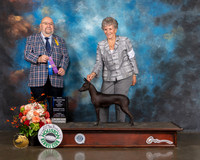 Xoloitzcuintli #32 Fri WB Judge Raymond Filburn