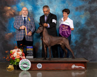 Xoloitzcuintli #9 Fri BOB Judge Raymond Filburn