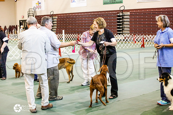 _JJ_5267-BsrCtyJun2014-HR3